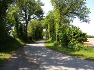 DSCN0115.JPG